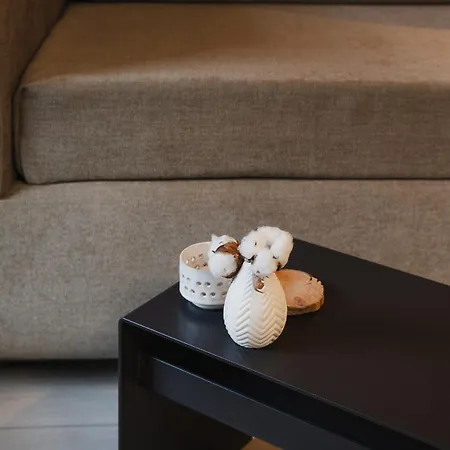 Daire Vlpilv Im Montafon - Berge & Design *